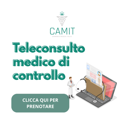 Camit - Consulto di controllo